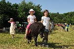 th_58_201509021040531