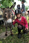 th_58_201509021008026